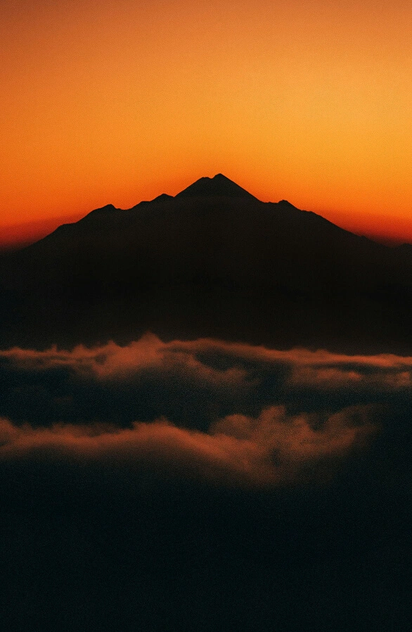 Outcomes<sup>1</sup>