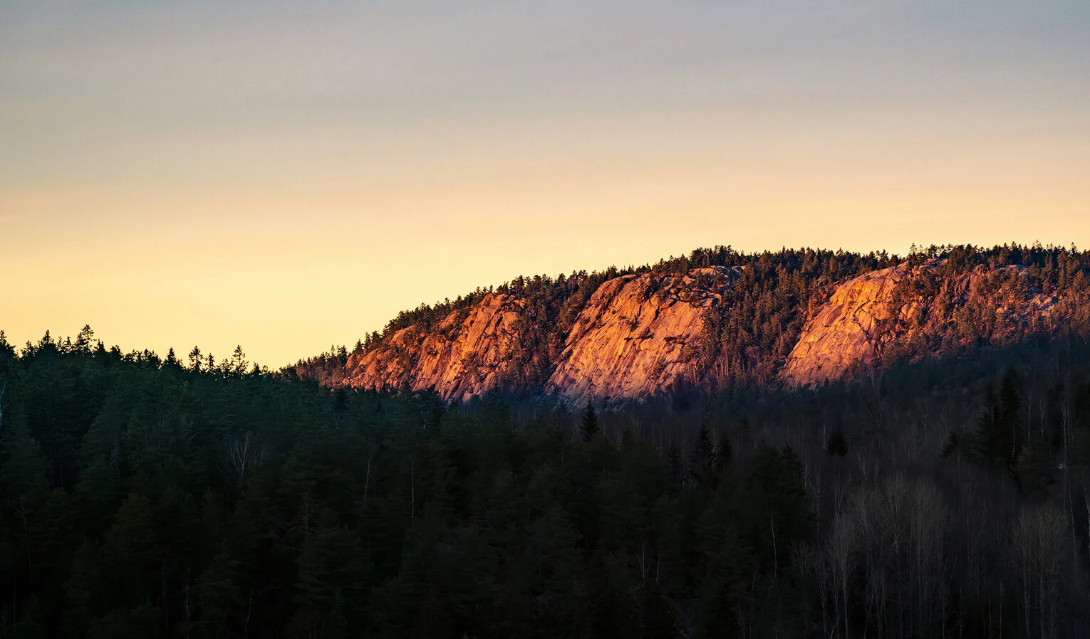 Outcomes<sup>1</sup>