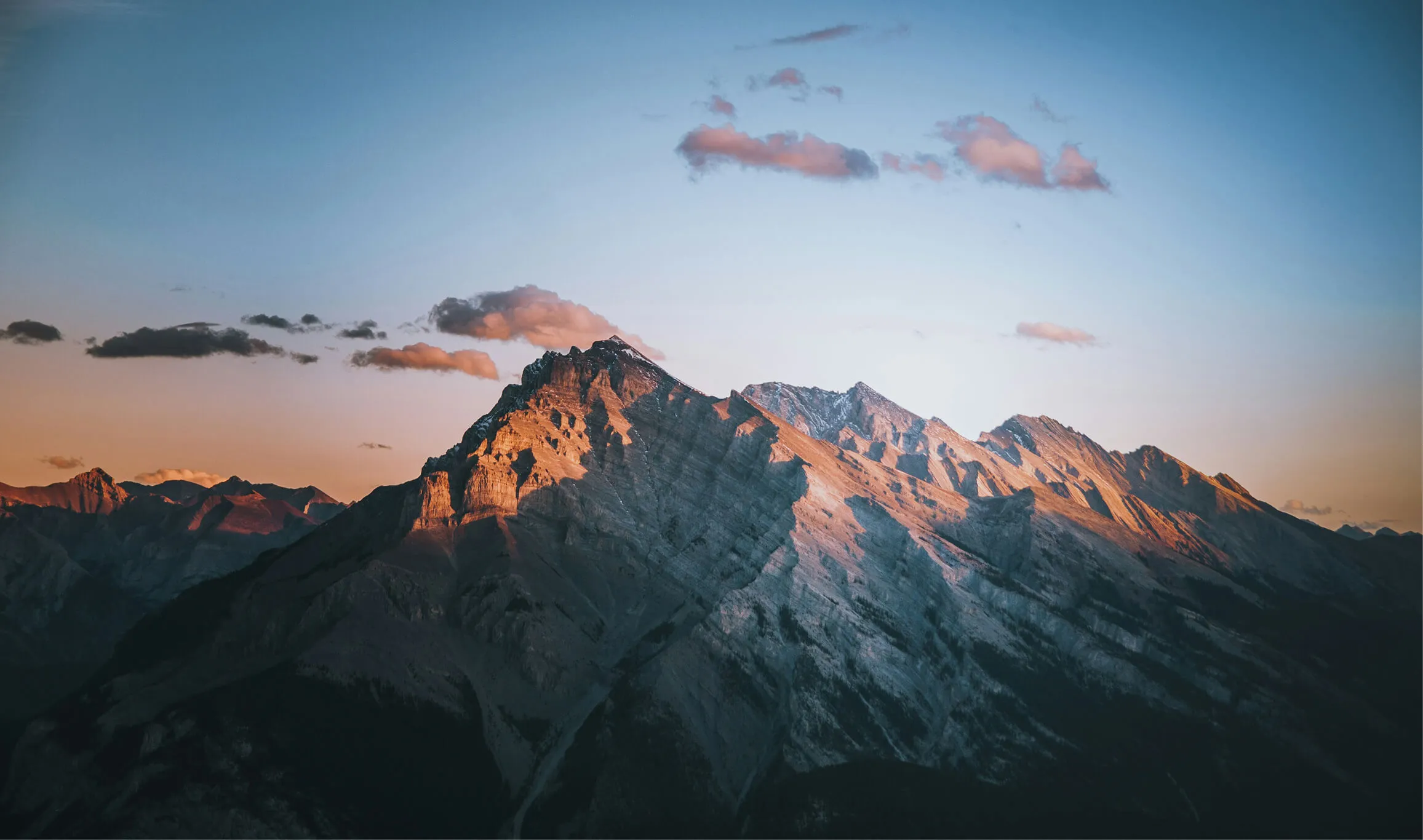 Outcomes<sup>1</sup>